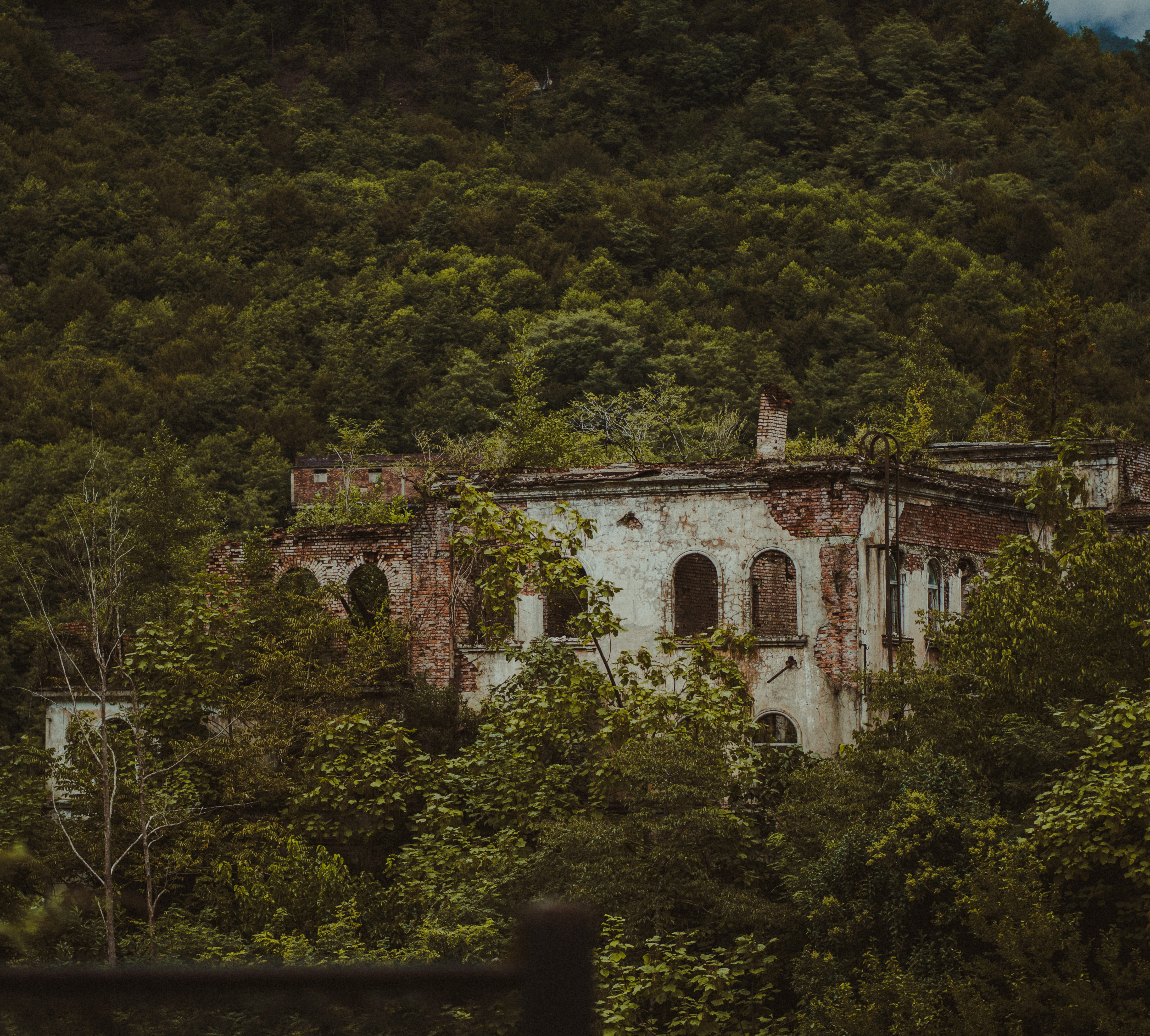 diary-image