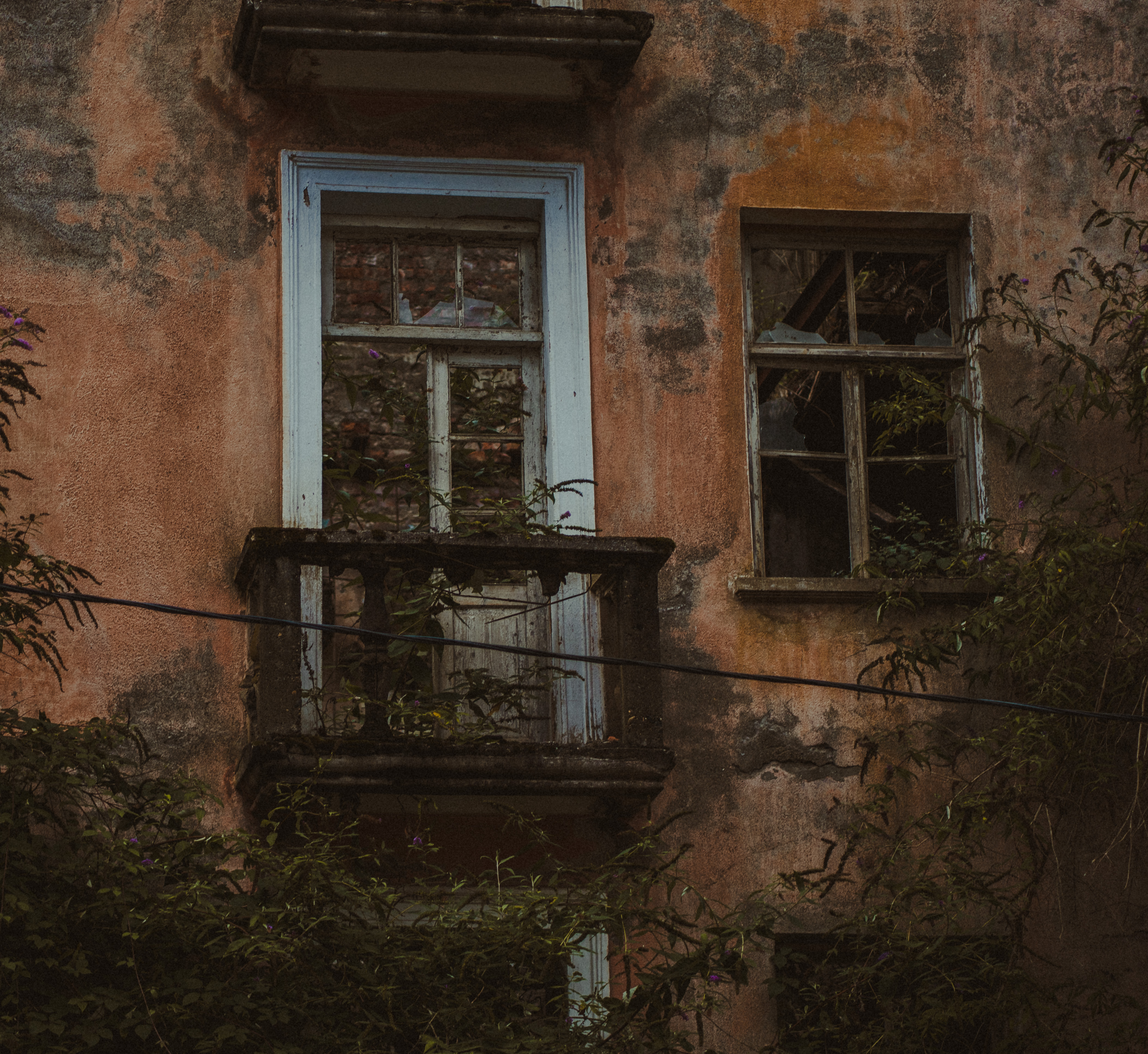 diary-image