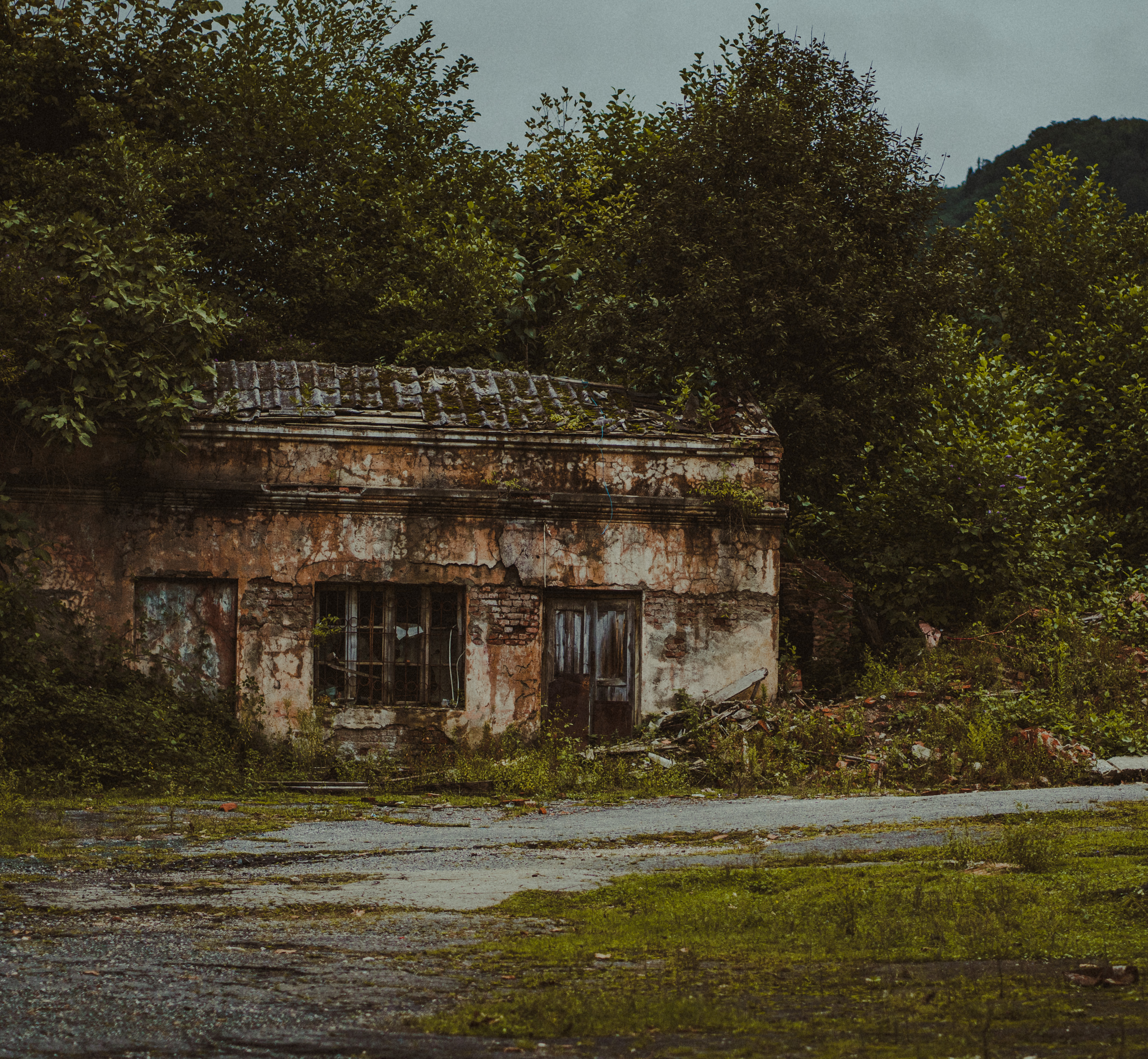 diary-image